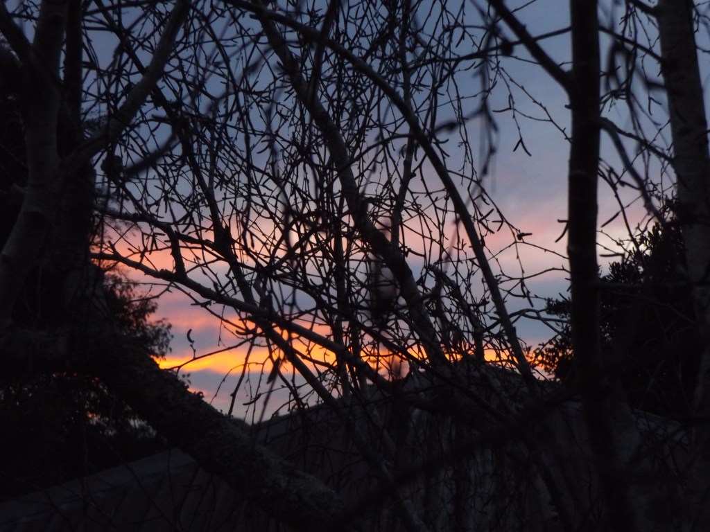 Yule, Mid-Winter 2022